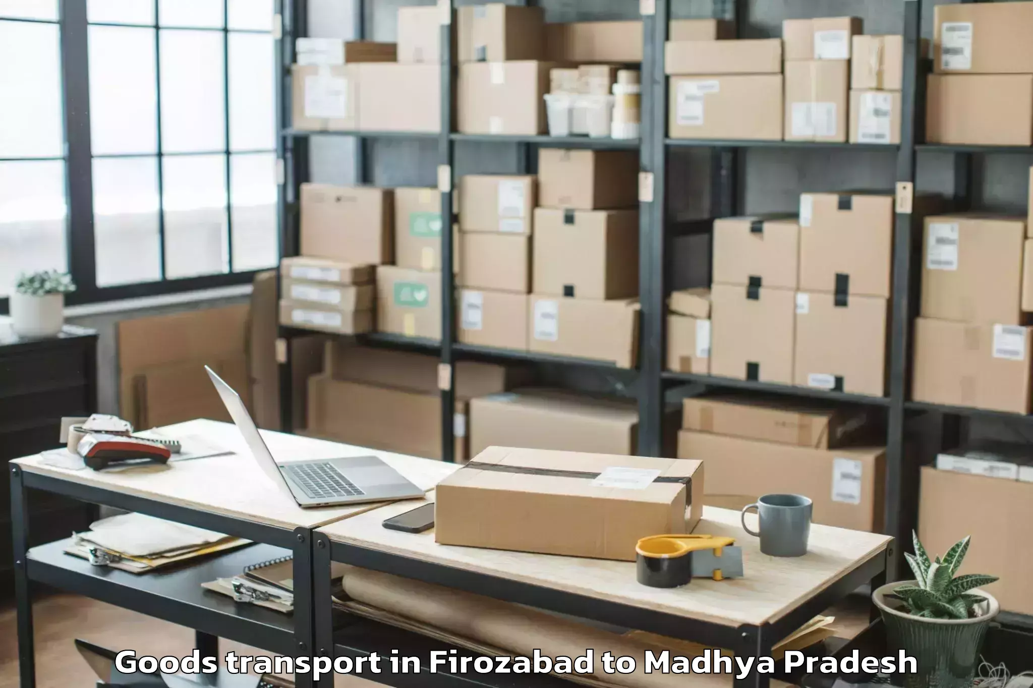 Get Firozabad to Mandsaur University Mandsaur Goods Transport